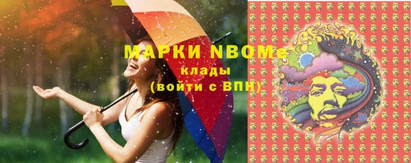 твердый Дмитров