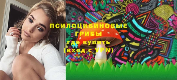 твердый Дмитров