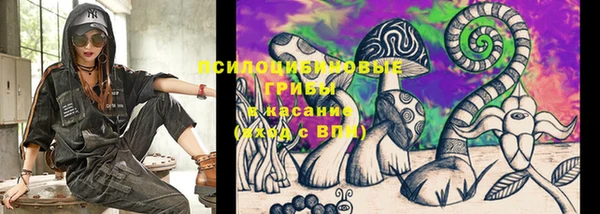гидра Дмитриев