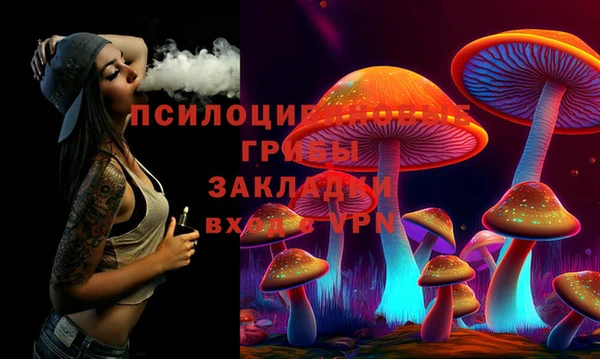 гидра Дмитриев