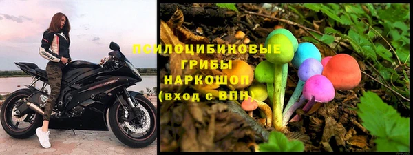 твердый Дмитров