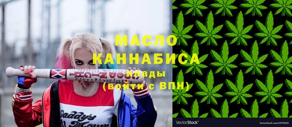 твердый Дмитров