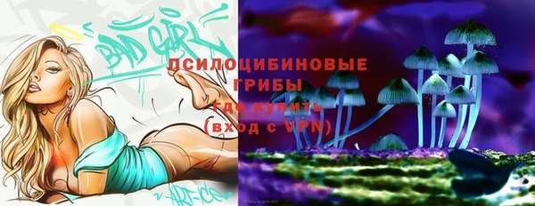 крисы Дмитровск