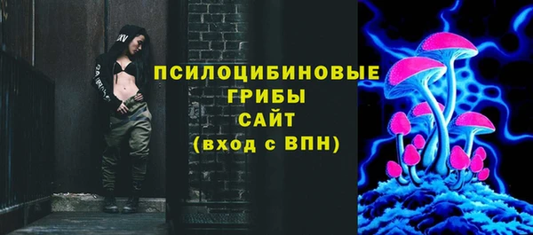 крисы Дмитровск